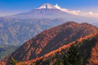 photo?id=1286&suffix=t