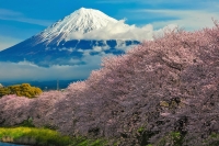 photo?id=1292&suffix=t