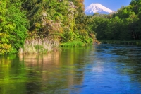 photo?id=1293&suffix=t