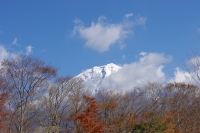 photo?id=1294&suffix=t