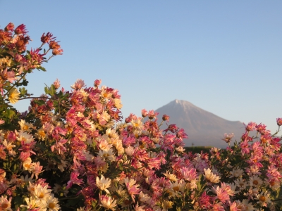 photo?id=1299&suffix=m