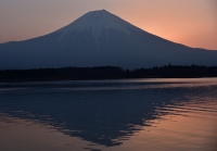 photo?id=1301&suffix=t