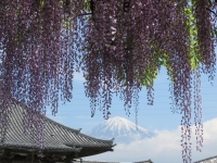 photo?id=1306&suffix=t