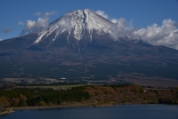 photo?id=1307&suffix=t