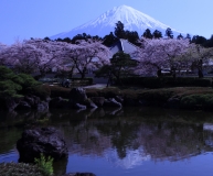photo?id=1308&suffix=t