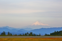 photo?id=1316&suffix=t