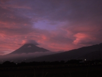 photo?id=1317&suffix=t