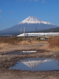 photo?id=1319&suffix=t