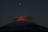 photo?id=1321&suffix=t