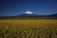photo?id=1322&suffix=t
