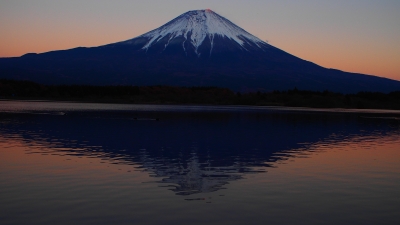 photo?id=1323&suffix=m