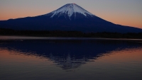 photo?id=1323&suffix=t