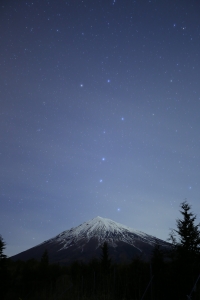 photo?id=1348&suffix=m