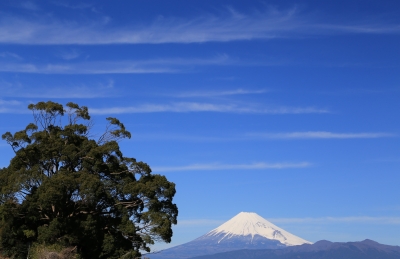 photo?id=1349&suffix=m