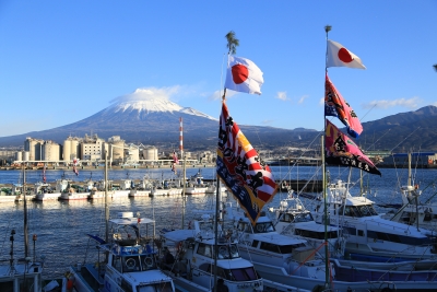 photo?id=1351&suffix=m