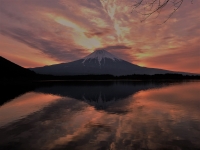 photo?id=1361&suffix=t