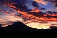 photo?id=1369&suffix=t