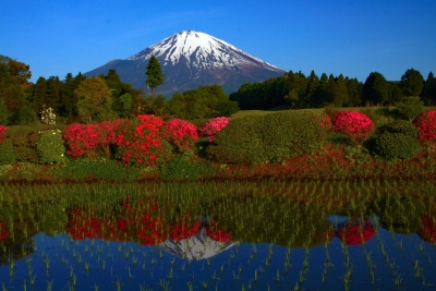 photo?id=1370&suffix=m