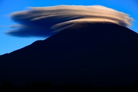 photo?id=1372&suffix=t