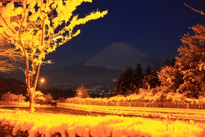 photo?id=1373&suffix=m