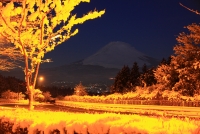 photo?id=1373&suffix=t