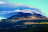 photo?id=1374&suffix=t