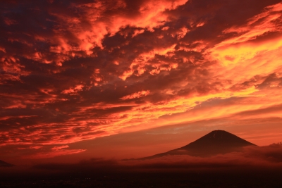 photo?id=1375&suffix=m
