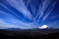 photo?id=1377&suffix=t