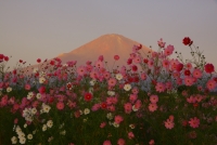 photo?id=1378&suffix=t