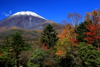 photo?id=1379&suffix=t