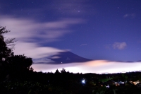 photo?id=1384&suffix=t