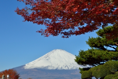photo?id=1387&suffix=m