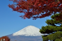 photo?id=1387&suffix=t