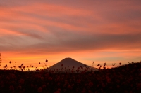 photo?id=1389&suffix=t