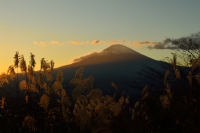 photo?id=1392&suffix=t