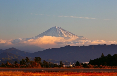 photo?id=1394&suffix=m