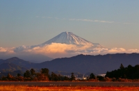 photo?id=1394&suffix=t