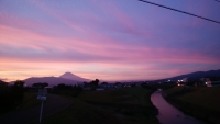 photo?id=1396&suffix=t