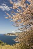 photo?id=1397&suffix=t