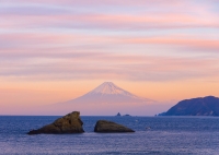 photo?id=1401&suffix=t