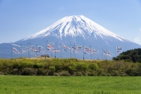 photo?id=1402&suffix=t