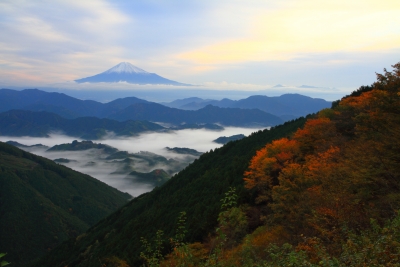 photo?id=1404&suffix=m