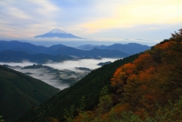 photo?id=1404&suffix=t