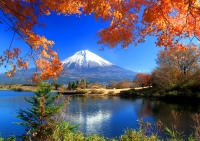 photo?id=1415&suffix=t