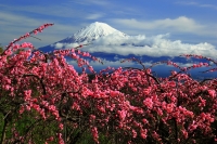 photo?id=1417&suffix=t