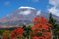 photo?id=1420&suffix=t