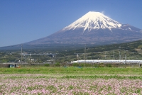 photo?id=1429&suffix=t
