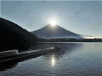 photo?id=1434&suffix=t