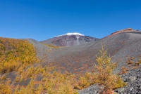 photo?id=1437&suffix=t