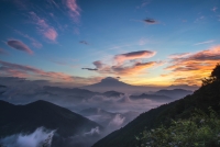 photo?id=1438&suffix=t